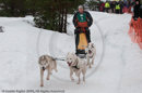 Class E Racing Team in the Siberian Husky Club of GB Arden Grange Aviemore Sled Dog Rally 2010