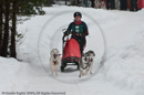 Class E Racing Team in the Siberian Husky Club of GB Arden Grange Aviemore Sled Dog Rally 2010