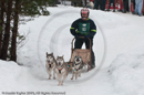 Class E Racing Team in the Siberian Husky Club of GB Arden Grange Aviemore Sled Dog Rally 2010