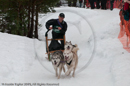 Class E Racing Team in the Siberian Husky Club of GB Arden Grange Aviemore Sled Dog Rally 2010
