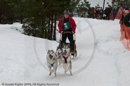 Class E Racing Team in the Siberian Husky Club of GB Arden Grange Aviemore Sled Dog Rally 2010