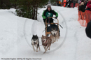 Class E Racing Team in the Siberian Husky Club of GB Arden Grange Aviemore Sled Dog Rally 2010