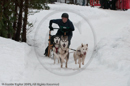 Class E Racing Team in the Siberian Husky Club of GB Arden Grange Aviemore Sled Dog Rally 2010