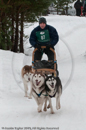Class E Racing Team in the Siberian Husky Club of GB Arden Grange Aviemore Sled Dog Rally 2010
