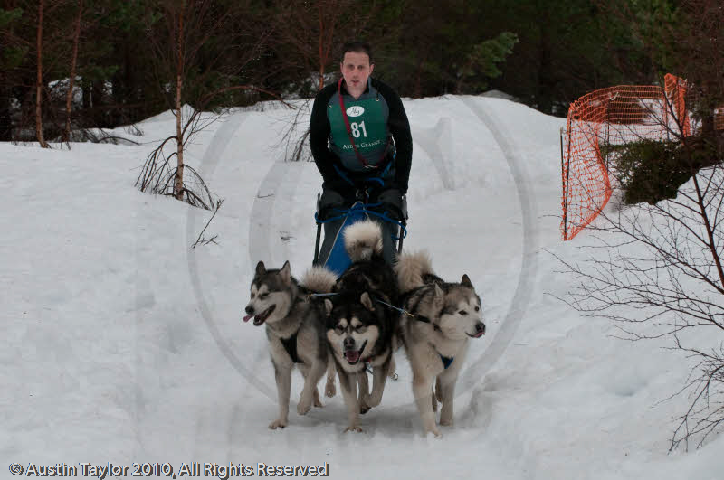 Class E2 Racing Team in the Siberian Husky Club of GB Arden Grange Aviemore Sled Dog Rally 2010
