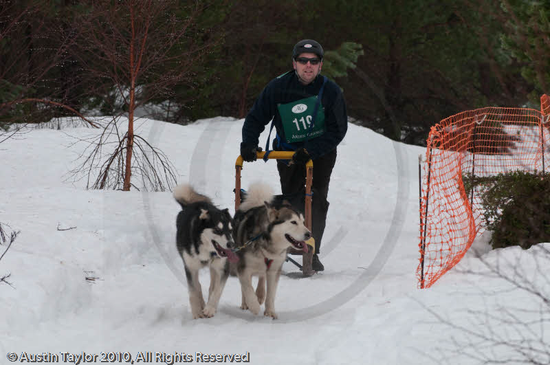 Class E2 Racing Team in the Siberian Husky Club of GB Arden Grange Aviemore Sled Dog Rally 2010