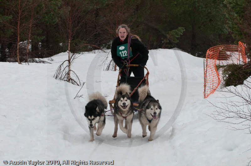 Class E2 Racing Team in the Siberian Husky Club of GB Arden Grange Aviemore Sled Dog Rally 2010