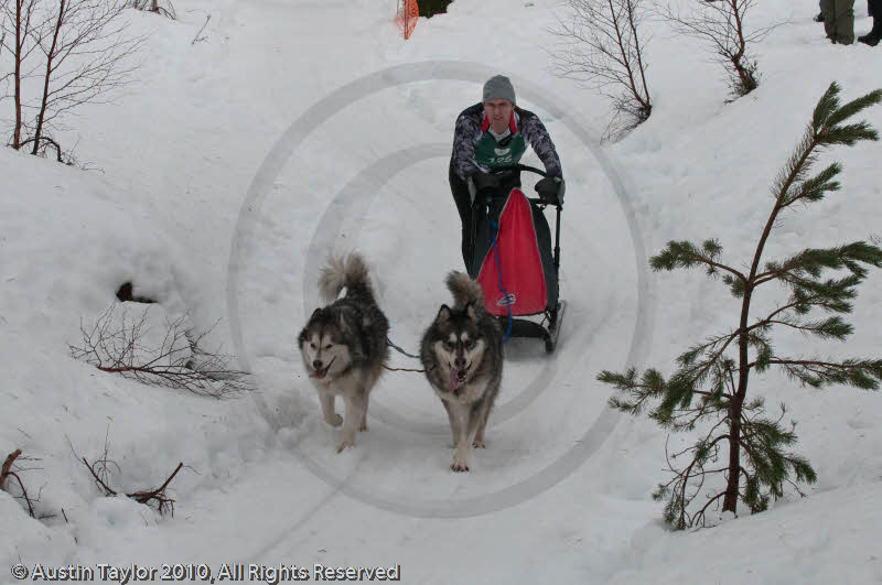 Class E2 Racing Team in the Siberian Husky Club of GB Arden Grange Aviemore Sled Dog Rally 2010