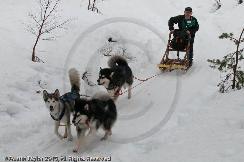 Class E2 Racing Team in the Siberian Husky Club of GB Arden Grange Aviemore Sled Dog Rally 2010