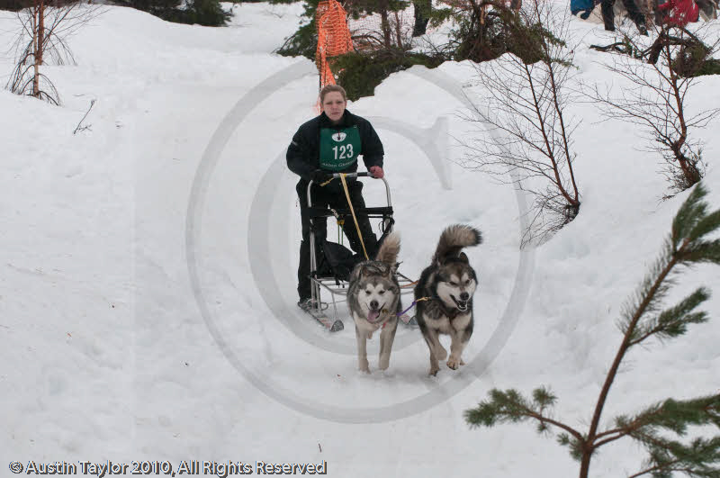 Class E2 Racing Team in the Siberian Husky Club of GB Arden Grange Aviemore Sled Dog Rally 2010