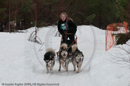 Class E2 Racing Team in the Siberian Husky Club of GB Arden Grange Aviemore Sled Dog Rally 2010