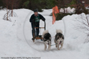 Class E2 Racing Team in the Siberian Husky Club of GB Arden Grange Aviemore Sled Dog Rally 2010