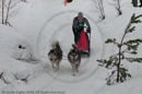 Class E2 Racing Team in the Siberian Husky Club of GB Arden Grange Aviemore Sled Dog Rally 2010