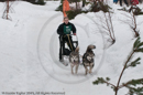 Class E2 Racing Team in the Siberian Husky Club of GB Arden Grange Aviemore Sled Dog Rally 2010