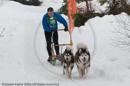 Class E2 Racing Team in the Siberian Husky Club of GB Arden Grange Aviemore Sled Dog Rally 2010