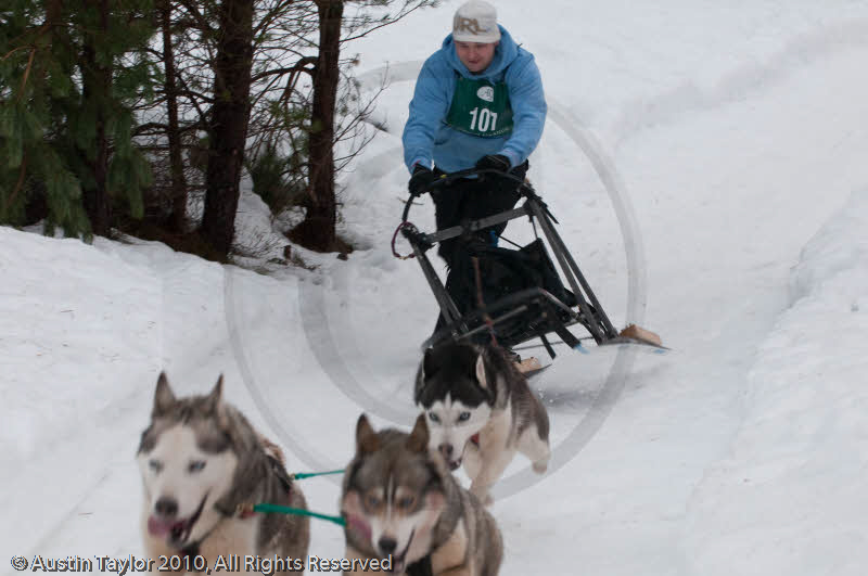 Mishap - Racing Team in the Siberian Husky Club of GB Arden Grange Aviemore Sled Dog Rally 2010