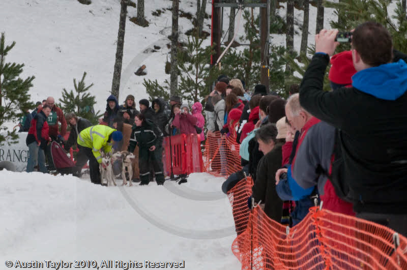 Spectators at the Siberian Husky Club of GB Arden Grange Aviemore Sled Dog Rally 2010