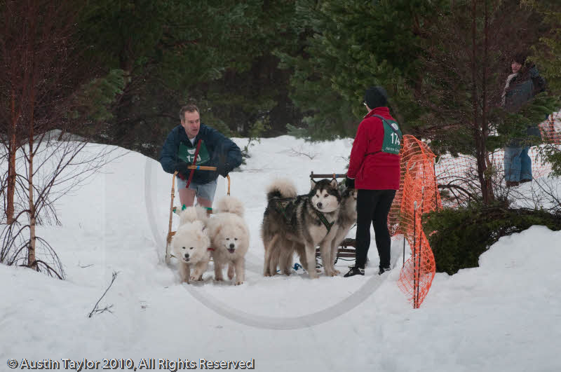 Racing Teams in the Siberian Husky Club of GB Arden Grange Aviemore Sled Dog Rally 2010