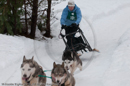 Mishap - Racing Team in the Siberian Husky Club of GB Arden Grange Aviemore Sled Dog Rally 2010
