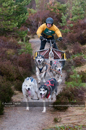 Racing Team in the Siberian Husky Club of GB Arden Grange Aviemore Sled Dog Rally 2011. Please don't use my images on websites, blogs or elsewhere without my permission. See www.austintaylorphotography.com for contact details