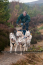 Racing Team in the Siberian Husky Club of GB Arden Grange Aviemore Sled Dog Rally 2011. Please don't use my images on websites, blogs or elsewhere without my permission. See www.austintaylorphotography.com for contact details