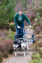 Racing Team in the Siberian Husky Club of GB Arden Grange Aviemore Sled Dog Rally 2011. Please don't use my images on websites, blogs or elsewhere without my permission. See www.austintaylorphotography.com for contact details