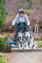 Racing Team in the Siberian Husky Club of GB Arden Grange Aviemore Sled Dog Rally 2011. Please don't use my images on websites, blogs or elsewhere without my permission. See www.austintaylorphotography.com for contact details