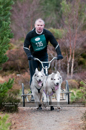 Racing Team in the Siberian Husky Club of GB Arden Grange Aviemore Sled Dog Rally 2011. Please don't use my images on websites, blogs or elsewhere without my permission. See www.austintaylorphotography.com for contact details