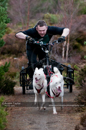 Racing Team in the Siberian Husky Club of GB Arden Grange Aviemore Sled Dog Rally 2011. Please don't use my images on websites, blogs or elsewhere without my permission. See www.austintaylorphotography.com for contact details