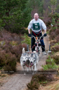 Racing Team in the Siberian Husky Club of GB Arden Grange Aviemore Sled Dog Rally 2011. Please don't use my images on websites, blogs or elsewhere without my permission. See www.austintaylorphotography.com for contact details