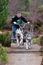 Racing Team in the Siberian Husky Club of GB Arden Grange Aviemore Sled Dog Rally 2011. Please don't use my images on websites, blogs or elsewhere without my permission. See www.austintaylorphotography.com for contact details