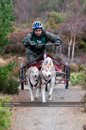 Racing Team in the Siberian Husky Club of GB Arden Grange Aviemore Sled Dog Rally 2011. Please don't use my images on websites, blogs or elsewhere without my permission. See www.austintaylorphotography.com for contact details