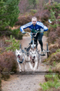Racing Team in the Siberian Husky Club of GB Arden Grange Aviemore Sled Dog Rally 2011. Please don't use my images on websites, blogs or elsewhere without my permission. See www.austintaylorphotography.com for contact details