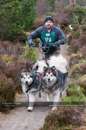Racing Team in the Siberian Husky Club of GB Arden Grange Aviemore Sled Dog Rally 2011. Please don't use my images on websites, blogs or elsewhere without my permission. See www.austintaylorphotography.com for contact details