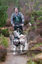 Racing Team in the Siberian Husky Club of GB Arden Grange Aviemore Sled Dog Rally 2011. Please don't use my images on websites, blogs or elsewhere without my permission. See www.austintaylorphotography.com for contact details