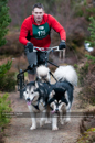 Class D2 dog sled racing team