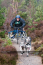 Racing Team in the Siberian Husky Club of GB Arden Grange Aviemore Sled Dog Rally 2011. Please don't use my images on websites, blogs or elsewhere without my permission. See www.austintaylorphotography.com for contact details