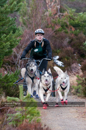 Racing Team in the Siberian Husky Club of GB Arden Grange Aviemore Sled Dog Rally 2011. Please don't use my images on websites, blogs or elsewhere without my permission. See www.austintaylorphotography.com for contact details