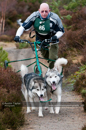 Racing Team in the Siberian Husky Club of GB Arden Grange Aviemore Sled Dog Rally 2011. Please don't use my images on websites, blogs or elsewhere without my permission. See www.austintaylorphotography.com for contact details