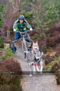 Racing Team in the Siberian Husky Club of GB Arden Grange Aviemore Sled Dog Rally 2011. Please don't use my images on websites, blogs or elsewhere without my permission. See www.austintaylorphotography.com for contact details