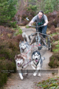 Racing Team in the Siberian Husky Club of GB Arden Grange Aviemore Sled Dog Rally 2011. Please don't use my images on websites, blogs or elsewhere without my permission. See www.austintaylorphotography.com for contact details