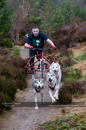 Racing Team in the Siberian Husky Club of GB Arden Grange Aviemore Sled Dog Rally 2011. Please don't use my images on websites, blogs or elsewhere without my permission. See www.austintaylorphotography.com for contact details