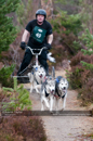 Racing Team in the Siberian Husky Club of GB Arden Grange Aviemore Sled Dog Rally 2011. Please don't use my images on websites, blogs or elsewhere without my permission. See www.austintaylorphotography.com for contact details
