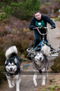 Class E2 dog sled racing team