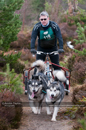 Racing Team in the Siberian Husky Club of GB Arden Grange Aviemore Sled Dog Rally 2011. Please don't use my images on websites, blogs or elsewhere without my permission. See www.austintaylorphotography.com for contact details