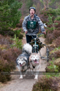 Racing Team in the Siberian Husky Club of GB Arden Grange Aviemore Sled Dog Rally 2011. Please don't use my images on websites, blogs or elsewhere without my permission. See www.austintaylorphotography.com for contact details