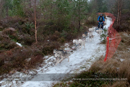 Racing Team in the Siberian Husky Club of GB Arden Grange Aviemore Sled Dog Rally 2012.