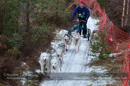 Racing Team in the Siberian Husky Club of GB Arden Grange Aviemore Sled Dog Rally 2012.