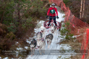 Class B dog sled racing team