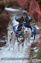 Racing Team in the Siberian Husky Club of GB Arden Grange Aviemore Sled Dog Rally 2012.